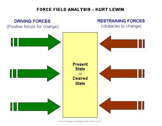 Function fields