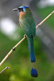 PacayaLodge's tweet photo. Art &amp; Culture, Nature &amp; Wildlife or Adventure….We make it easy for our guests to visit popular destinations, get off the beaten path, and experience the undiscovered Nicaragua: https://t.co/jWSfGleUEv https://t.co/yxYsTqGYyg