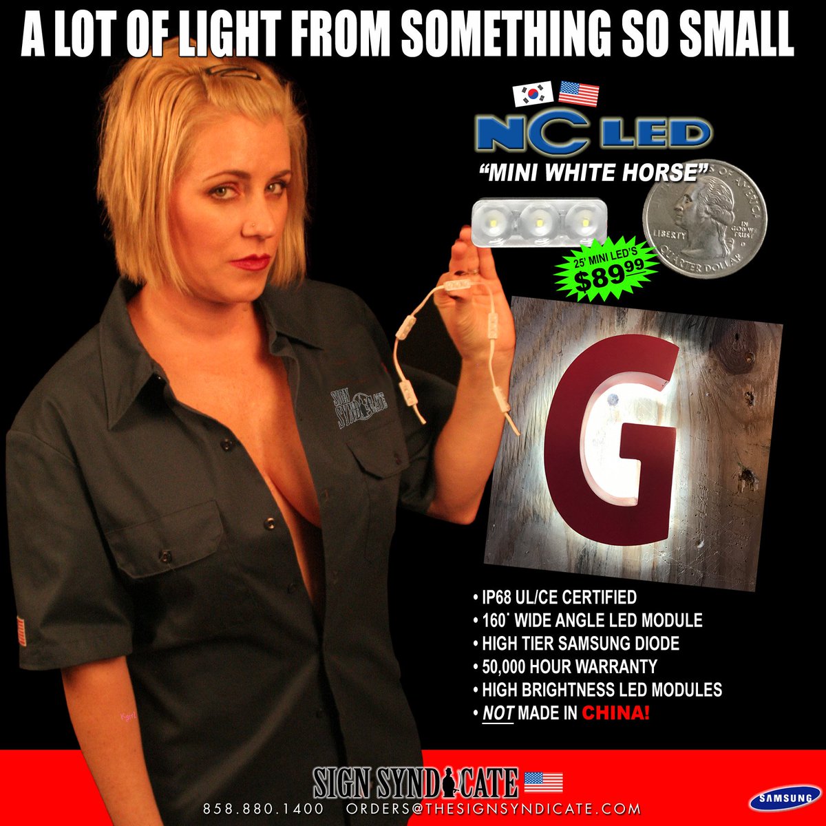 TheSignSyn's tweet image. Our NC LED White Horse Mini Modules.  High Grade/Top Tier Samsung Diodes.  Quality Phosphors that give the ability for a small package to pack a large punch.  thesignsyndicate.com/forums/index.p…