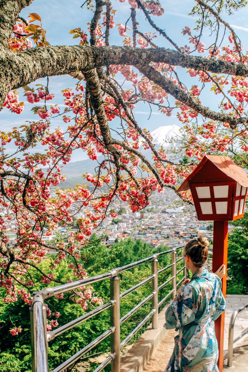 CHAPTERTRAVEL's tweet photo. Edited some photos from our trip to #Japan! Can’t wait to share them on our Instagram page 😊🌸⛩ https://t.co/mm02zr4nkY