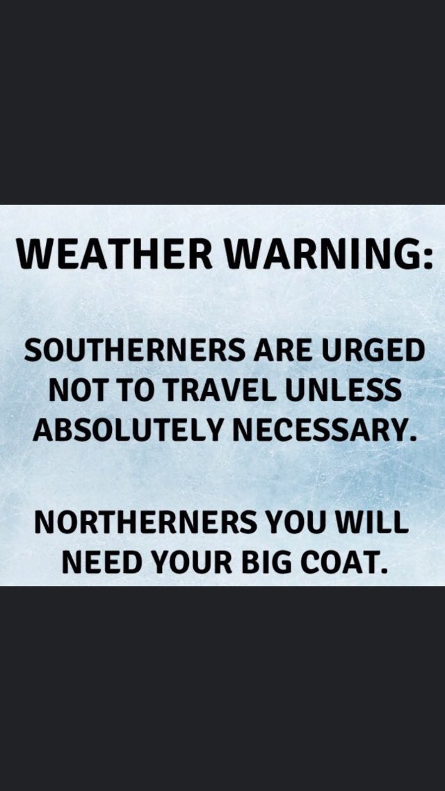 Maureen Conlon tweet media