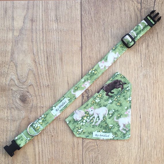 Dog collars with matching bandana available separately 

Rebridled.etsy.com 

#puppyrumble #puppies #DogLover #puppylove