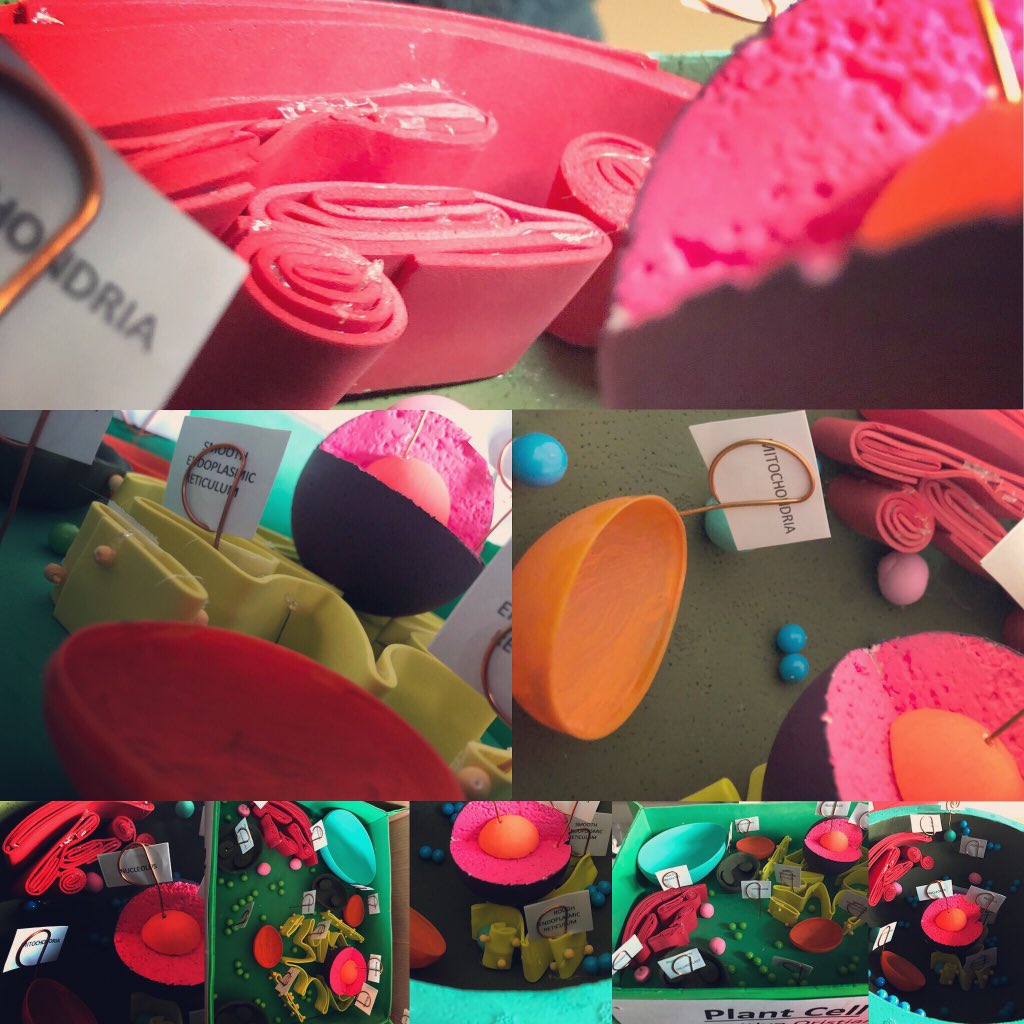 mr_amidon's tweet photo. Some quality #CellProjects coming in today https://t.co/TUmZLYkv71