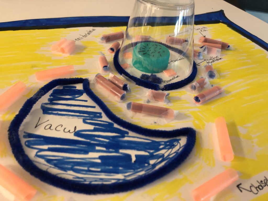 mr_amidon's tweet photo. Some quality #CellProjects coming in today https://t.co/TUmZLYkv71