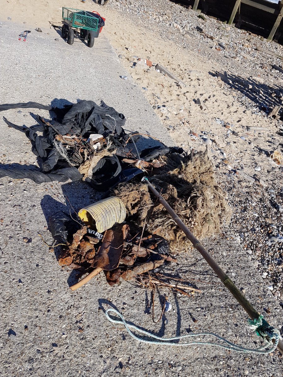 nrthnorfolkbeachclns tweet media