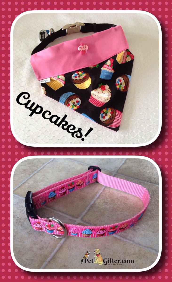 PetGifter's tweet photo. Did you have a cupcake today? #NationalCupcakeDay https://t.co/Bko68OuT97