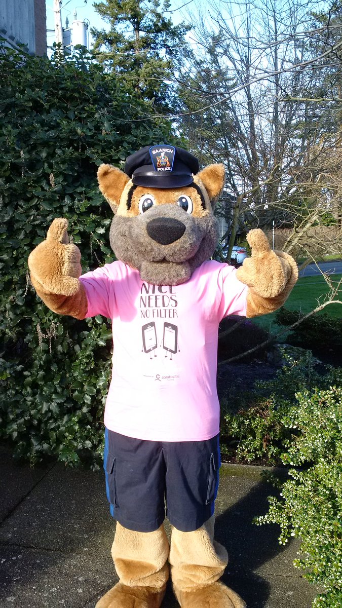 AceK9Saanich's tweet photo. I have my pink shirt for #PinkShirtDay do you? Bullying is a major problem in our schools, workplaces, homes &amp; online. #bullyingstopshere #PinkItForward https://t.co/XWnLsx9GpL