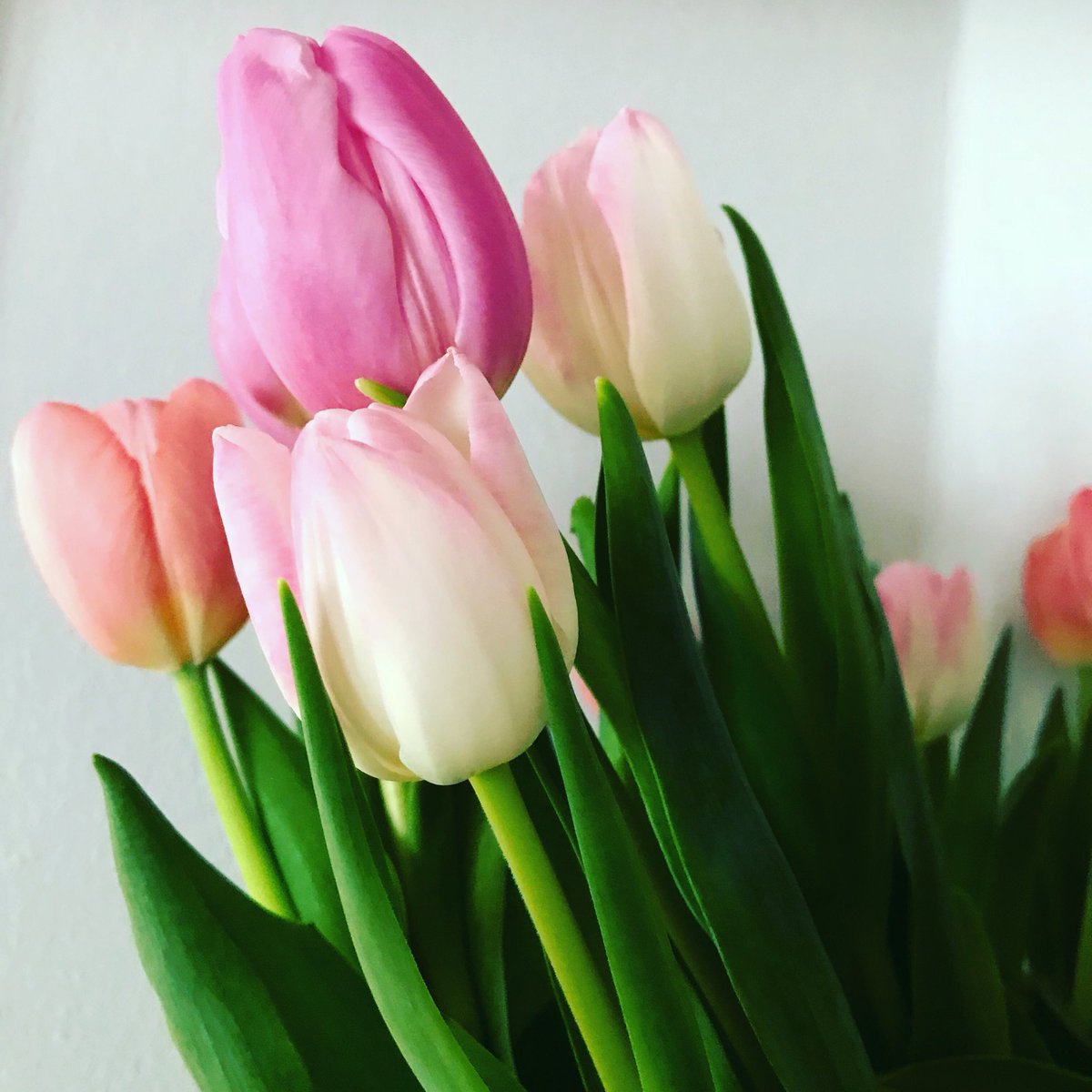 Venter på vår. #kmarked #fotograf #inspiration #spring