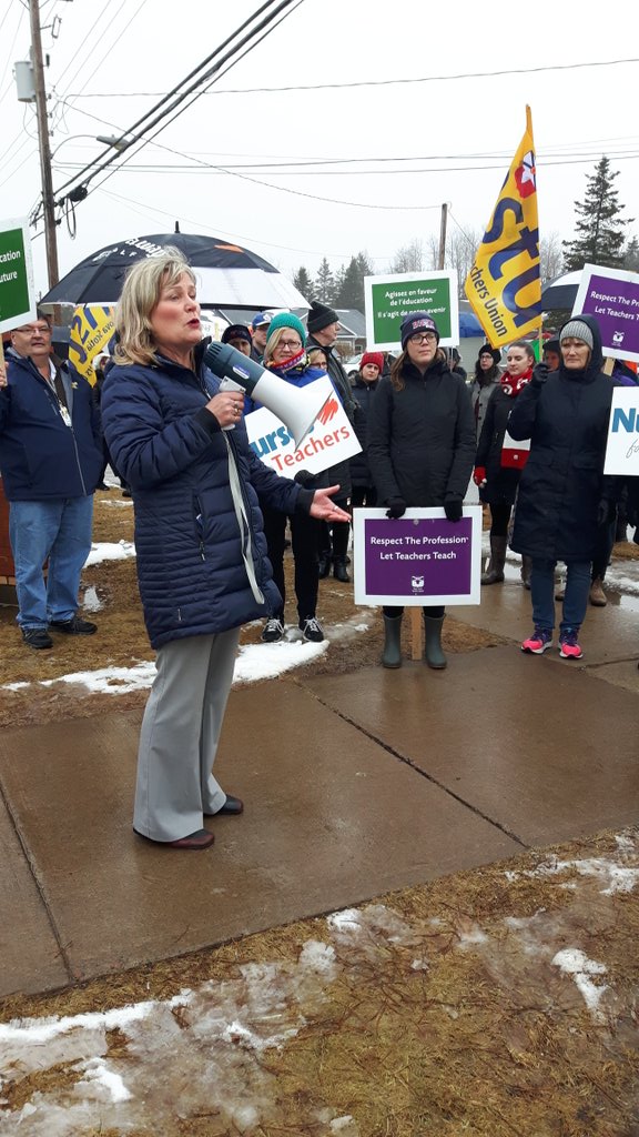 CEHL NSTU tweet media