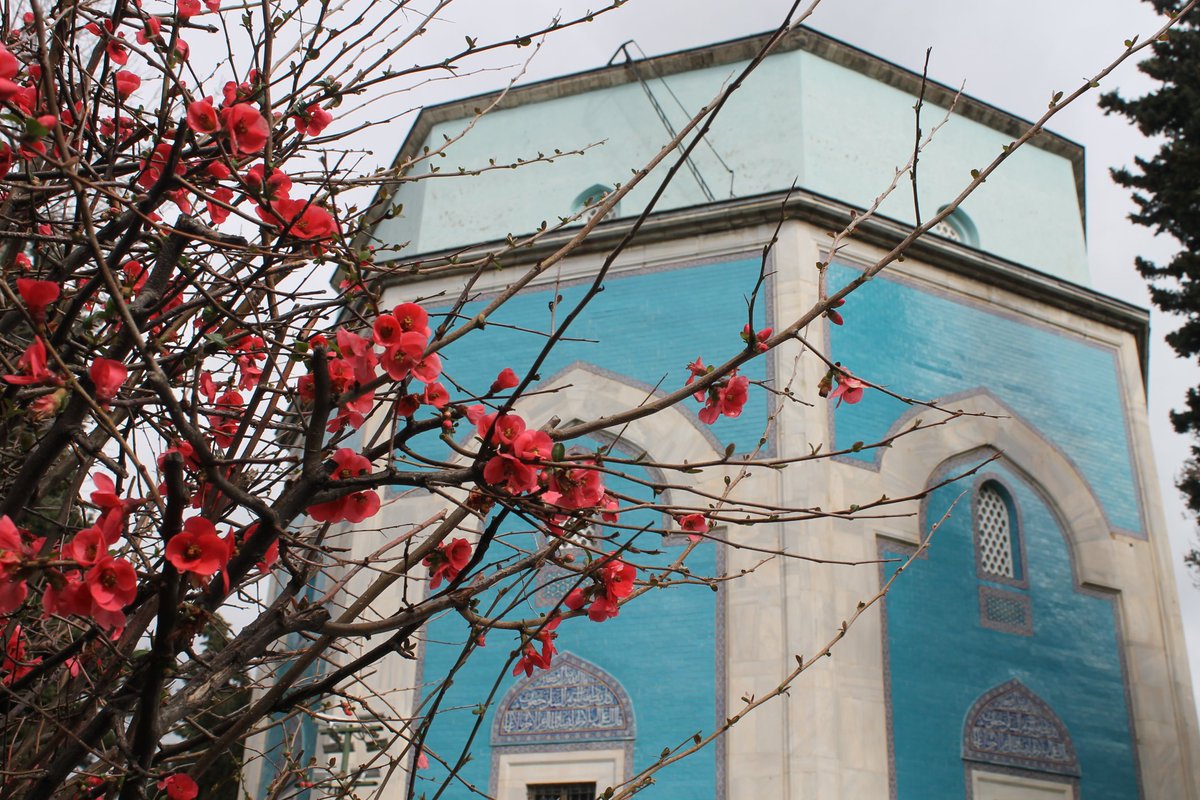 2. güne Osmanlı sivil mimarisinin en görkemli yerleşim yerlerinden olan Cumalıkızık köyünde başlandı. Tarihi ve kültürel ziyaretlerden sonra gezi programı finalize edildi. 🌼🍁🌿

Fotoğrafların tamamı için tık tık: goo.gl/PtkhFf
