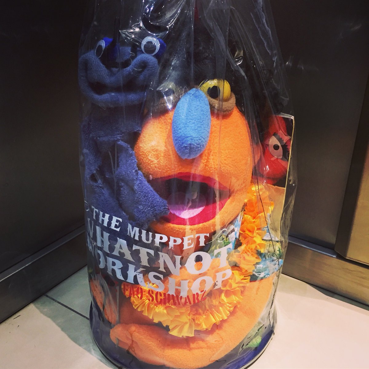 antonyantunes's tweet photo. The boys are back in town #BackinLondon
#puppets #puppetry #muppet #sockpuppet #whatnot #UncleHoward #Shlomo #playtime https://t.co/P9WD138RYd