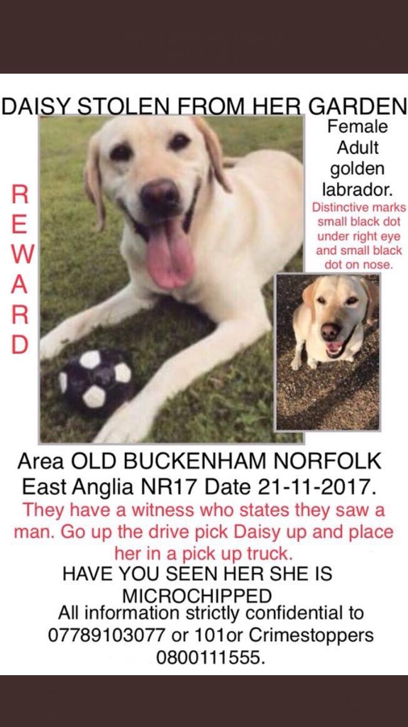 @FindStolenDaisy @Davewardell Can you RT this thank you.