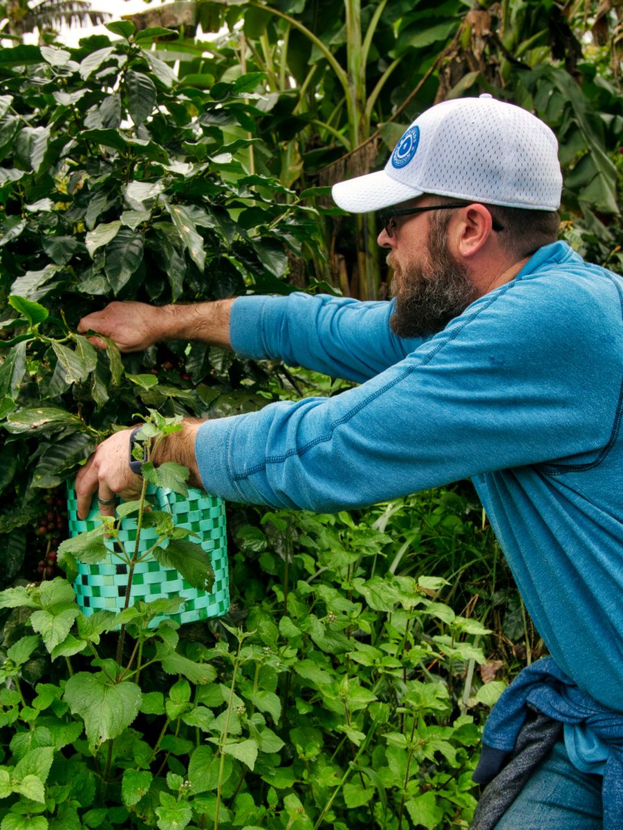 G4Compassion's tweet photo. A month ago, we went on a trip to #Honduras to meet with our newest partner to see the harvest and operations first hand. We are excited to be bringing their coffee direct to you sometime after June. Can’t wait for you to try this delicious cup! #coffee #withconviction https://t.co/K6Wl9nMVuV