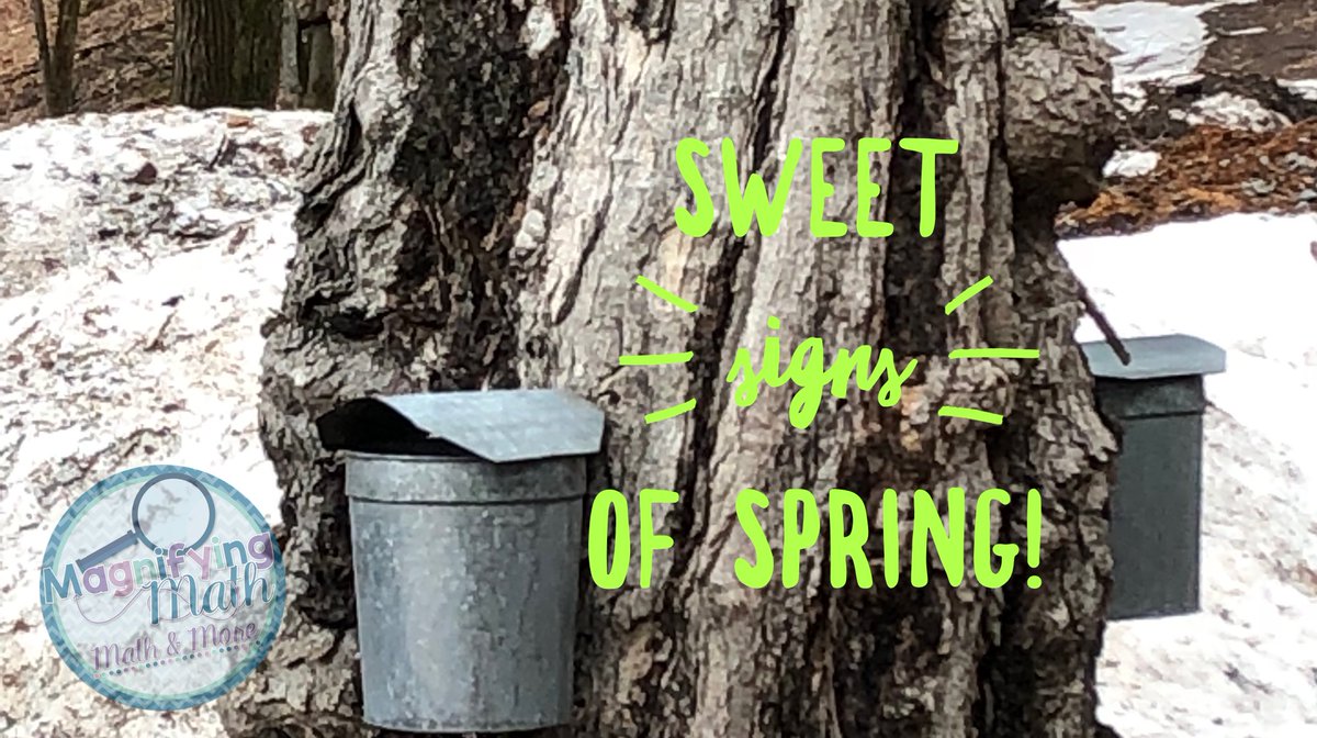 MagnifyingMath's tweet image. 