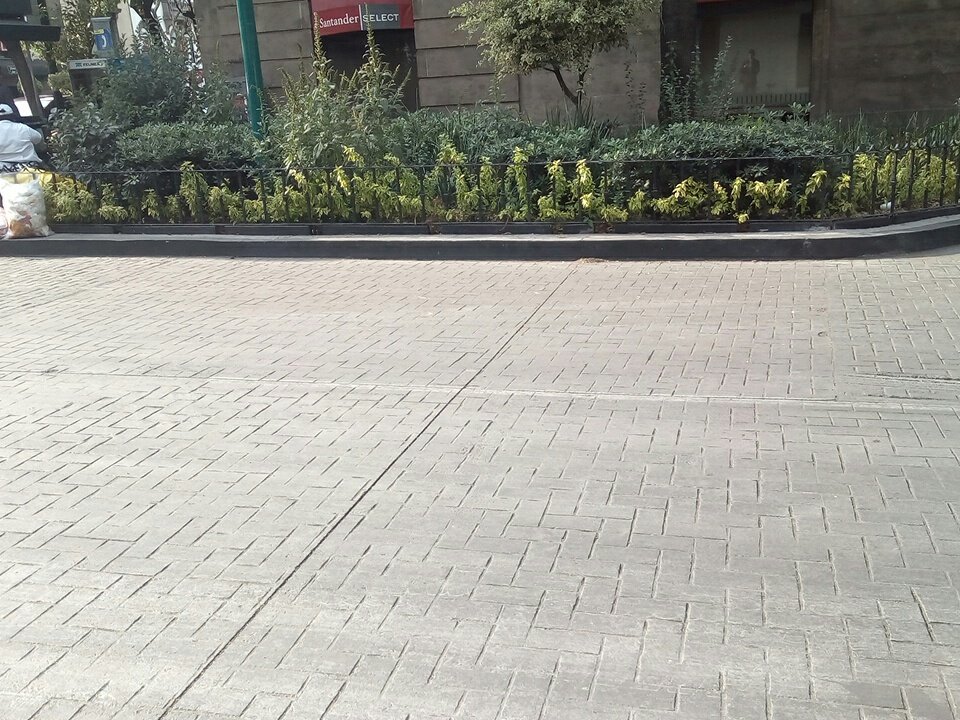 mdavidmata's tweet photo. En el proyecto 'Repavimentación de calle Londres" casi el 50% está listo. 
En la otra mitad no se ve que estén trabajando. 
Clave DIF16170200886817
#DatosEnLaCalle #RallyMX @TPresupuestaria https://t.co/tkCMdJnsZe