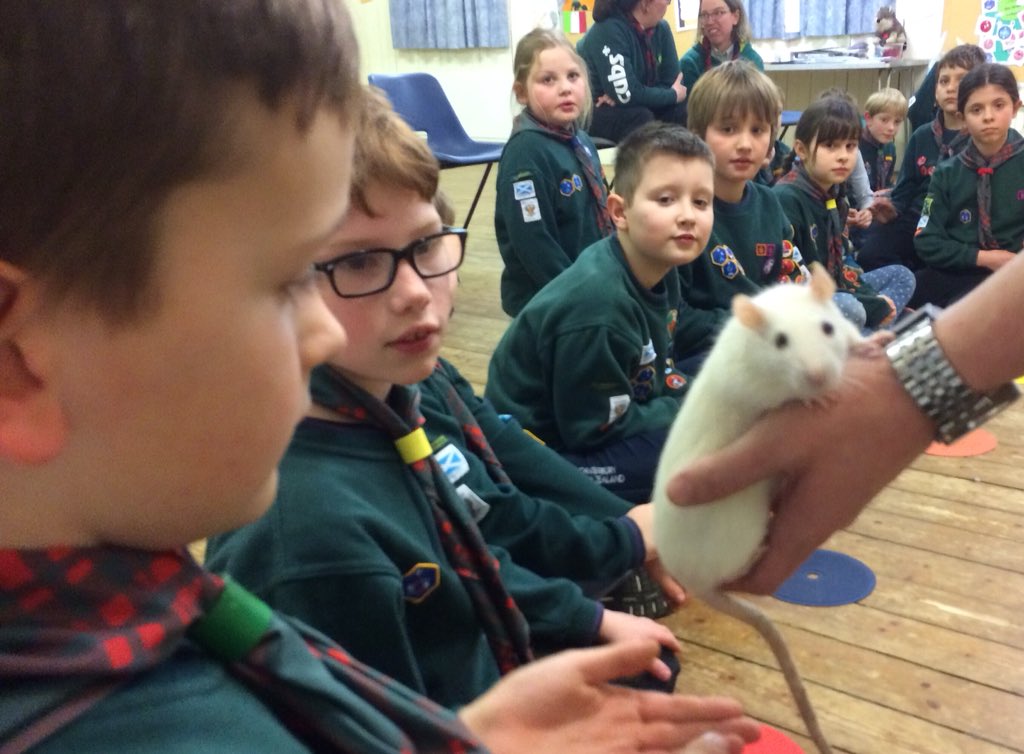 Cubs17th's tweet photo. Great night with the Animal Man and special guests 🐢🐍🦎🦆 https://t.co/lTpFxZQYug