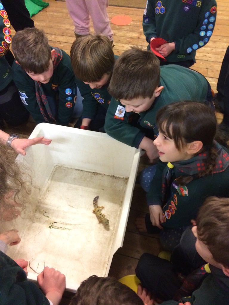 Cubs17th's tweet photo. Great night with the Animal Man and special guests 🐢🐍🦎🦆 https://t.co/lTpFxZQYug