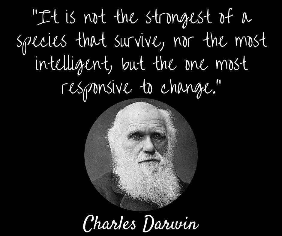 How responsive are you and your business to change?