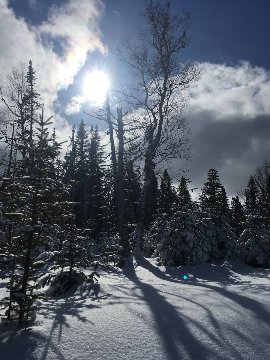 EricaMichelle88's tweet photo. LARGE Day at @BMDtrails! Beautiful morning- breakfast and snowshoe run included! #gobmd #bluebird #westcoastbestcoast https://t.co/Mp61sbjbuO