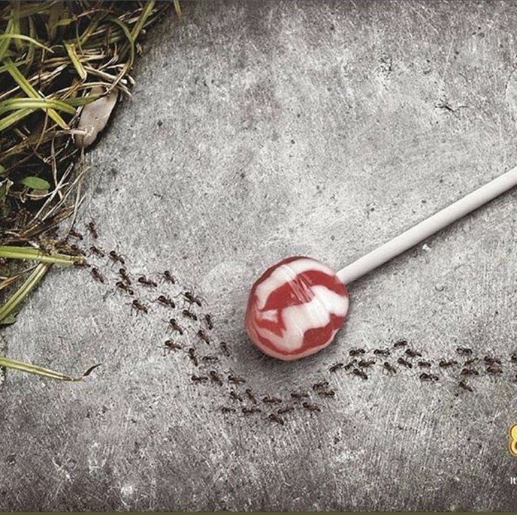 TheBodyProj's tweet photo. Nature knows........... https://t.co/tXsr1Ru42T