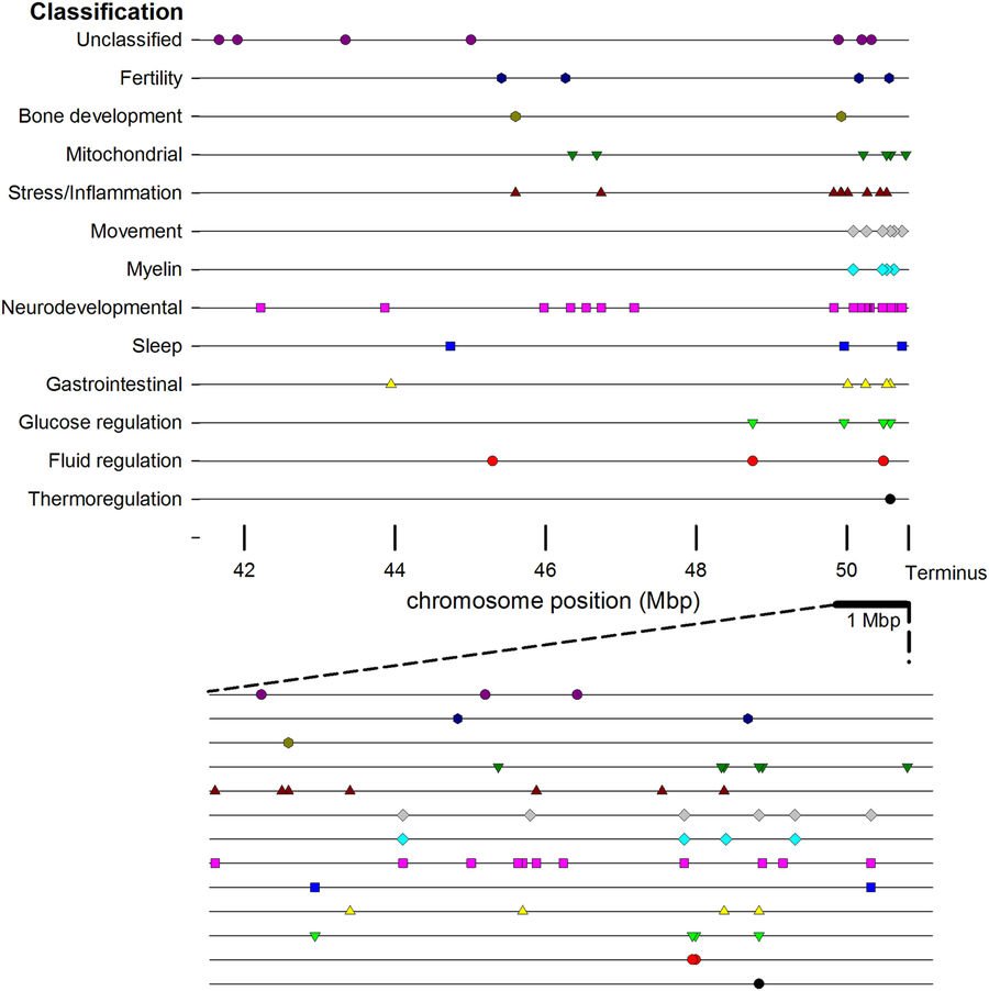 GreenwoodGenCtr's tweet image. GGC team helping to identify genes in the @Phelan_McDermid region on chromosome 22 responsible for variable phenotype. #EJHG nature.com/articles/s4143…