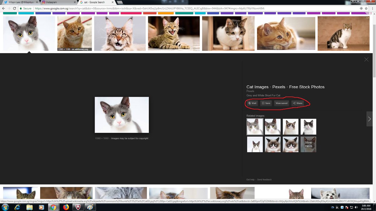 wilsonleews88's tweet image. The view image button, which was originally placed together with the other buttons (in the red circle), is 1 of the most useful functions in the @Google #ImageSearch engine. Why would #Google want to remove that??
#ViewImage
