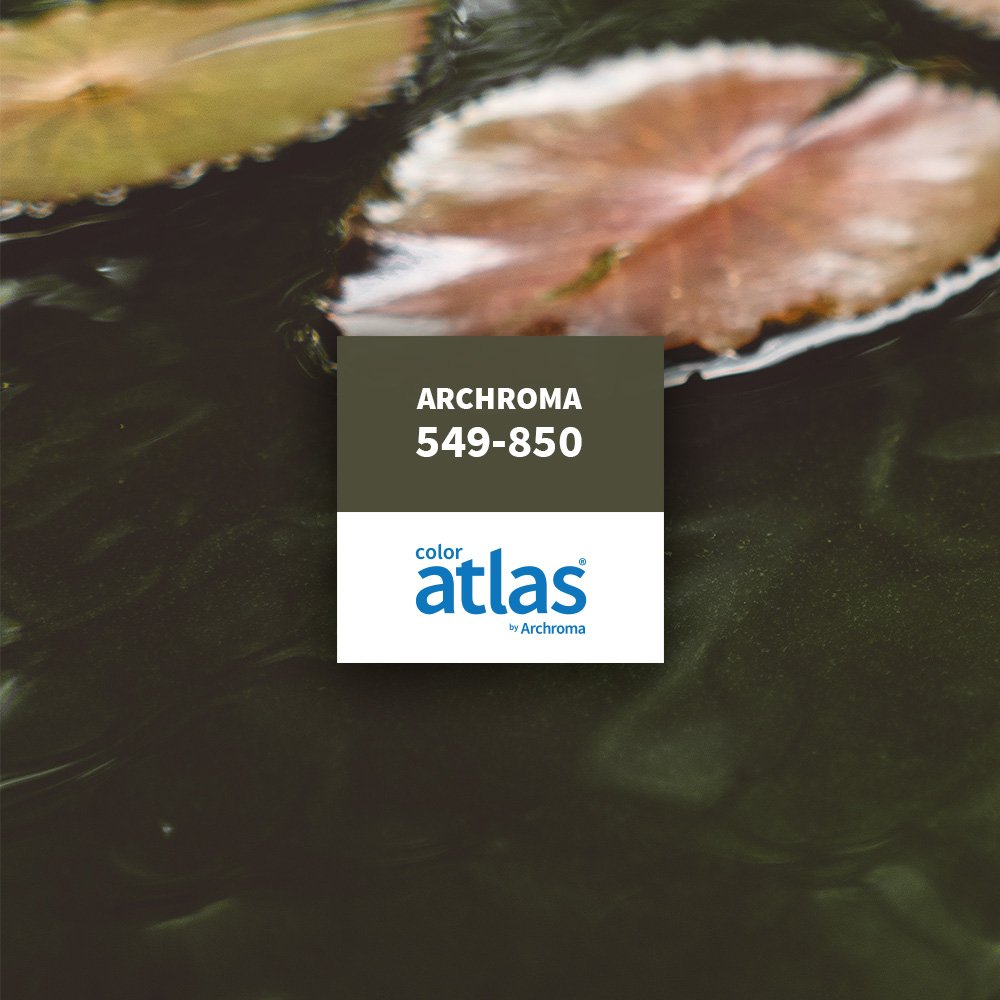 Archroma Color Mgt tweet media