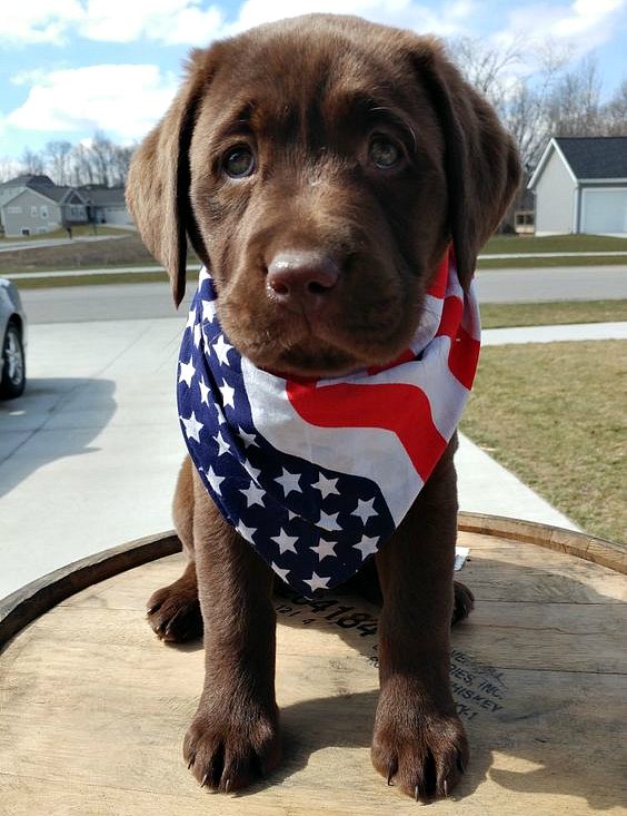 WhiskeyRiff's tweet photo. Happy #PresidentsDay.

🇺🇸 https://t.co/veXcdNBfRb