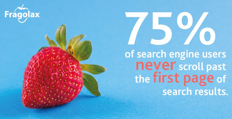 How does your website score? #seo #digital #marketing fragolax.com