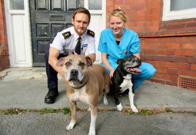 CodaPost's tweet image. There&apos;s a brand NEW episode of The Dog Rescuers with Alan Davies on channel 5 tomorrow at 8pm. #CODAwork