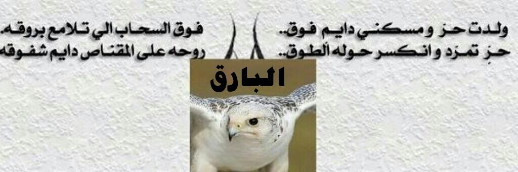 underthemoon110's tweet photo. @Sh__aa88 @Lulua212 @nayel__alzaedy @saly_sis @fuoz0992 @abad_222 @Jaghma @DesertIdol @jor19851 @ahmedjuc @LuluaMarch @Alwafyah2017 @bosyzezo1 @2005Zoohor @_1zii @aa22501 @so_alkhaledi @7lm_co1 @hamdanrum45 @desertNight12 @zw_mod @almnady1 @b_0976sea @76ull @abad_2222 @szzzzss @Al__hanou_f @Majed_rum_2018 اللهم آميــــن جزاكـِ الله خير
اللهم استجب بهذه الساعه
بالتوفيق #ياسر_الزلباني
#كلنا_البارق https://t.co/kXxWHDQaT9