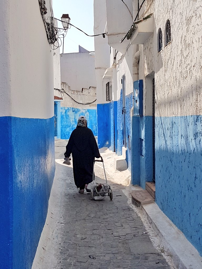 TweetsbyTashaS's tweet photo. #Rabat has its own mini #BlueCity to explore #SeemoreofMorocco #FlyRAM #sightseeing #visitmorocco https://t.co/rrJgz3Cruz