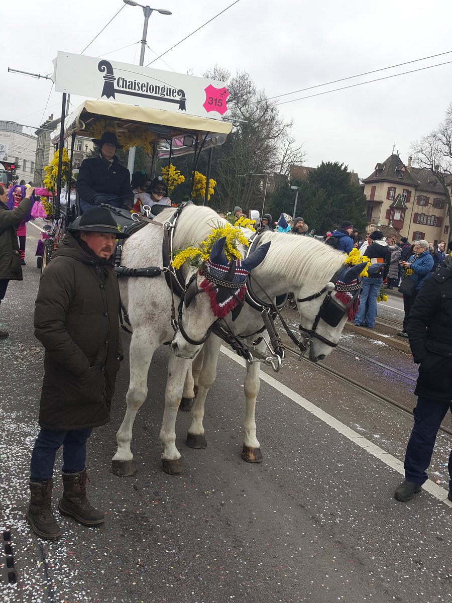 NancyHolten's tweet photo. Pferde an der #Fasnacht?
Klares nein zum Wohle der Tiere. ❤
#NancyHolten #baslerfasnacht #vegan #Tierschutz #FüreineFasnachtohneTiere
@Blickch @20min @bzBasel https://t.co/nR7YaCJySE