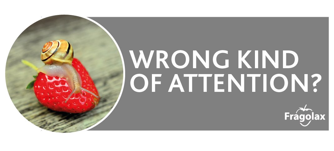 Does your website attract the right audience? Suffering from high traffic but low conversions? Get in touch: bit.ly/2EDc8Aa #digital #marketing #Smallbusinesses