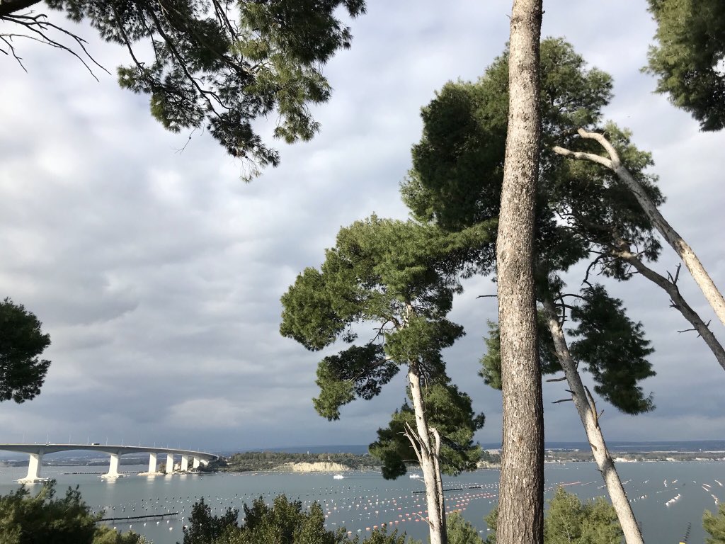 btmitalia's tweet photo. E a #Taranto non può mancare il tour in catamarano nelle aeree protette #WWF del Mar Piccolo, con l’attraversamento del ponte Punta Penna. La città che non aspetti al Fam Trip di #BTM2018.
#turismo #tourism #puglia #weareinpuglia https://t.co/DwpPVTQPHR