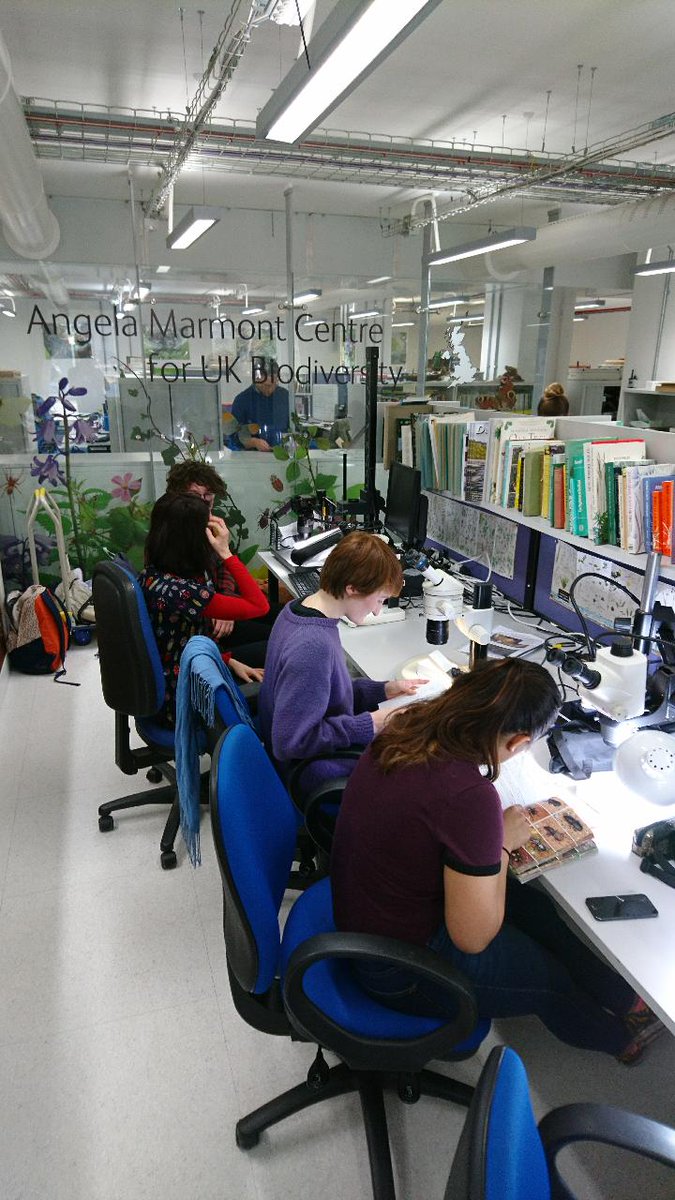 Liam_M_Crowley's tweet photo. First @BenhsBuzz event of the year is a behind the scenes tour of the @NHM_London insect collections Thursday 8th March, plus tour of Angela Marmont Centre with chance to use facilities. Message me for more info! https://t.co/wPhYVnuJ1z
