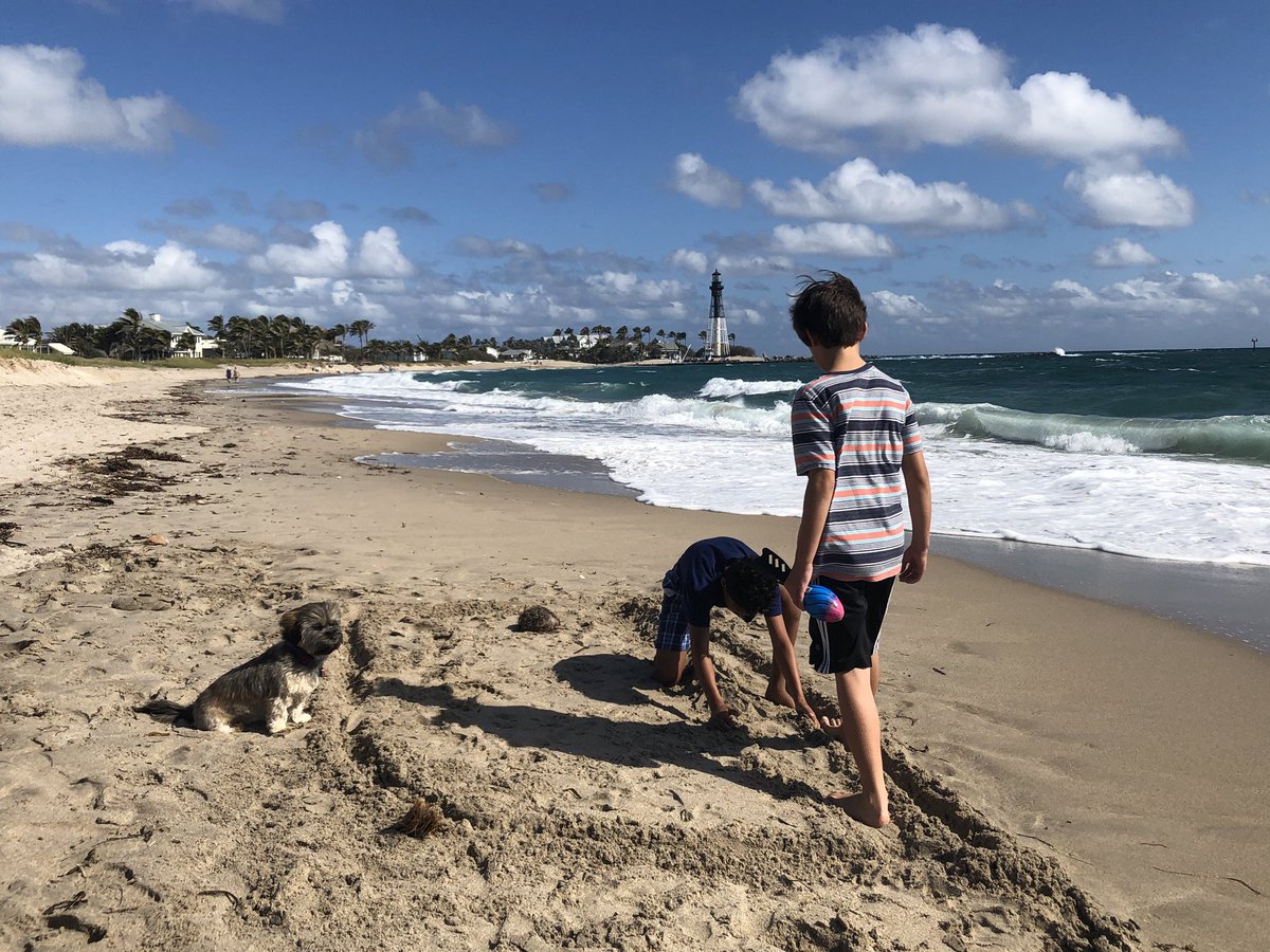 mrberey's tweet photo. My #homeschooling Ss working on a #designchallenge making a sand play-pen for their dog #experientiallearning #beachday #activelearning https://t.co/kEv5w7VoPH