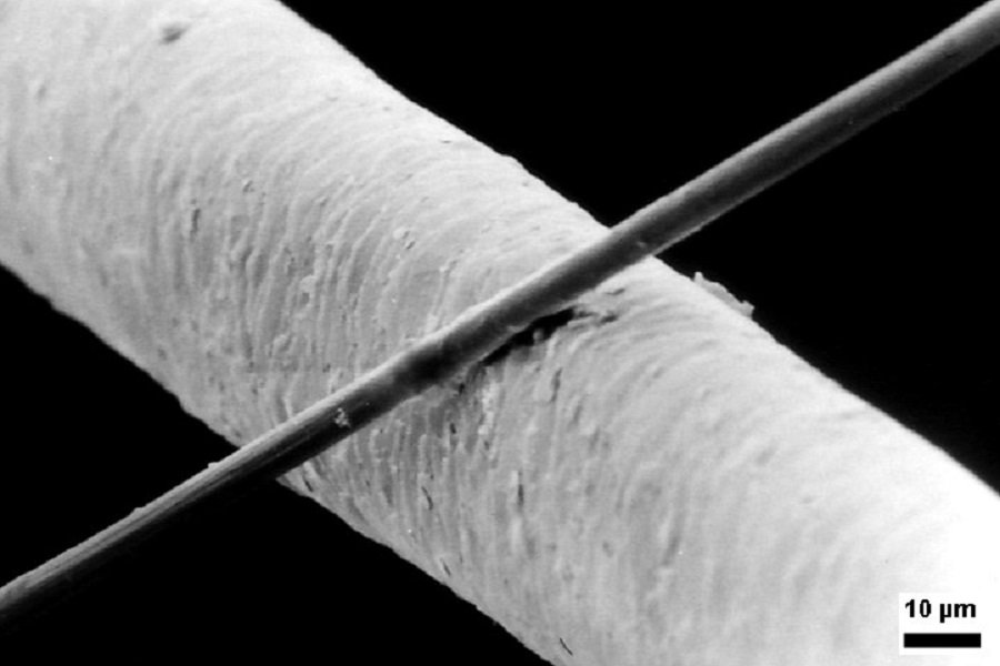#Nonwovens and #Felts are the basis material for many industrial #Filters. Learn more about the difference between synthetic and natural #Fibers in felt production here: sanin-filtertechnik.de/en/about-us/sa…