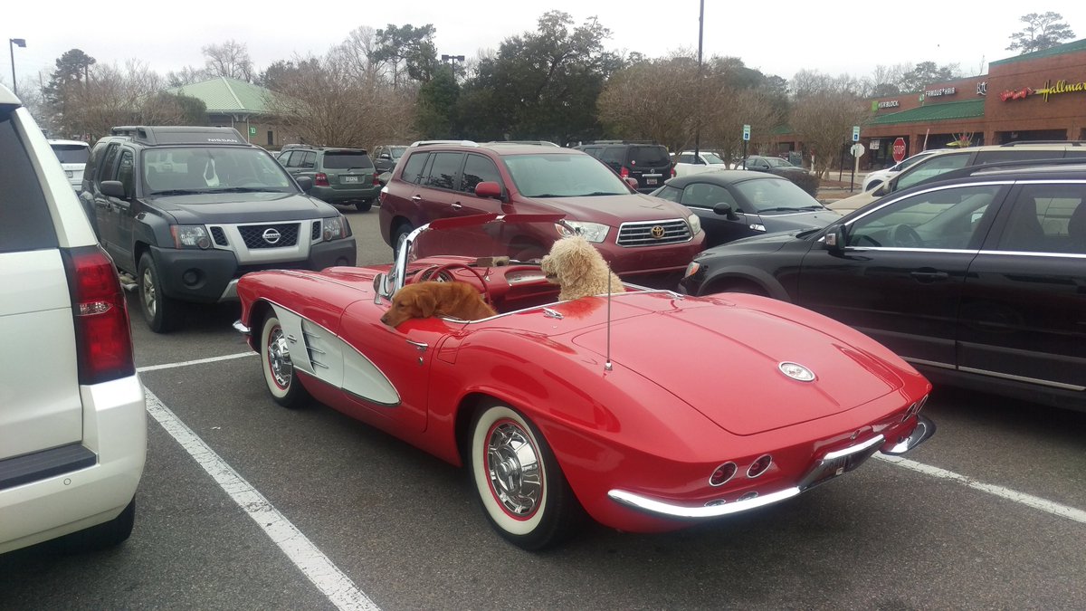 TestBenchSaaS's tweet image. That look when you find out that you over-paid for a bad Water Meter Test Bench Management Software.  Give us a call (843) 224-3261 you have options! TestBenchServices.com