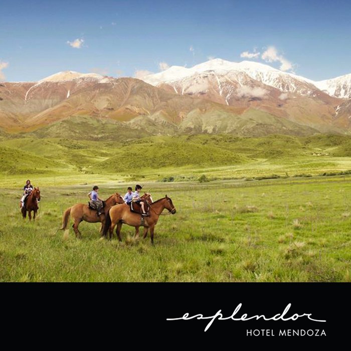 EsplendorHMza's tweet photo. Cuando tenés la oportunidad de conocer nuestros paisajes, las palabras sobran y falta el aliento. @enteturismomza#EsplendorMendoza https://t.co/cfIPa1P18d