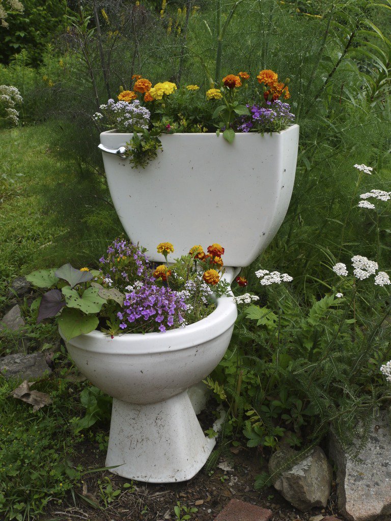 Let's think Spring!! After all, we're going to hit 70 degrees Wednesday. What are some spring projects at the top of your mind?