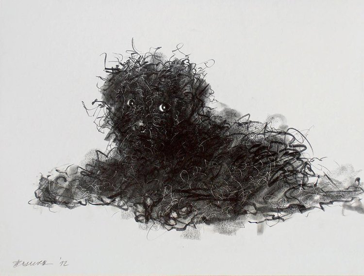 mymodernmet's tweet photo. Artist celebrates ‘Year of the Dog’ with expressive pencil and ink drawings 🐶 https://t.co/fGVM09oyJV https://t.co/wyX09nOT2b