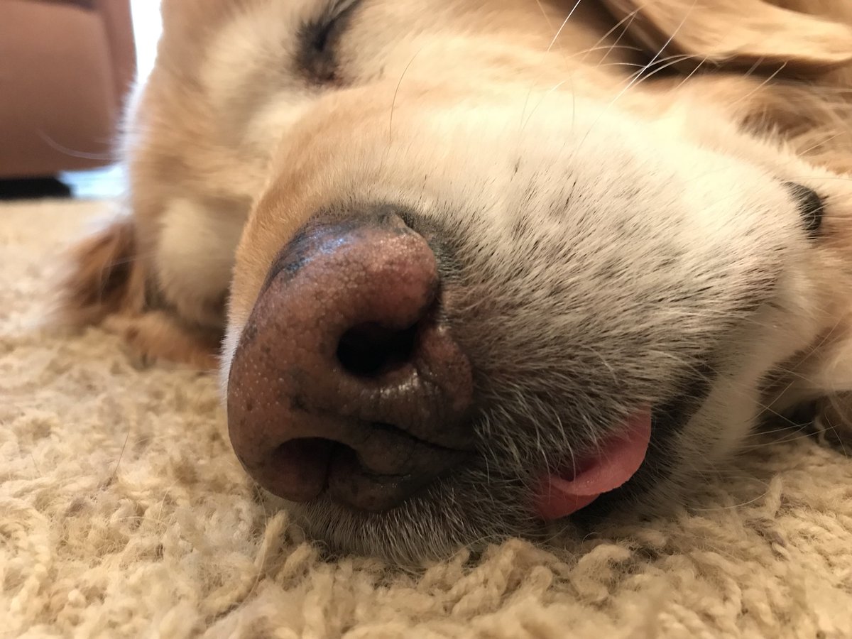 NelsonPuppeh's tweet photo. It’s my year https://t.co/cSucwsYFRo