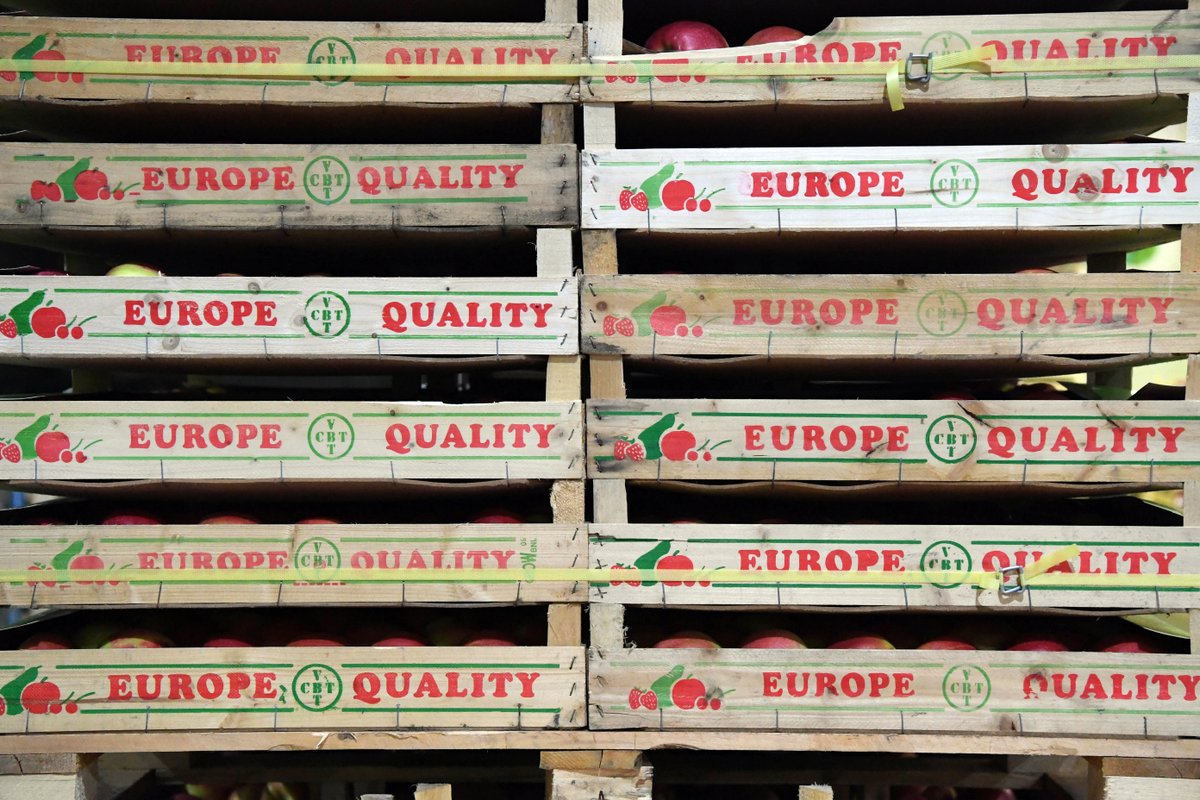 EUAgri's tweet photo. Another record year for EU agri-food exports! 👏 
EU #agrifood exports reached a record value of €137.9 billion in 2017: a 5.1% increase compared to 2016 📈 #EUAgriTrade report: https://t.co/GlEWyrHz0w 🇪🇺🌐 https://t.co/dcoSfrffDB