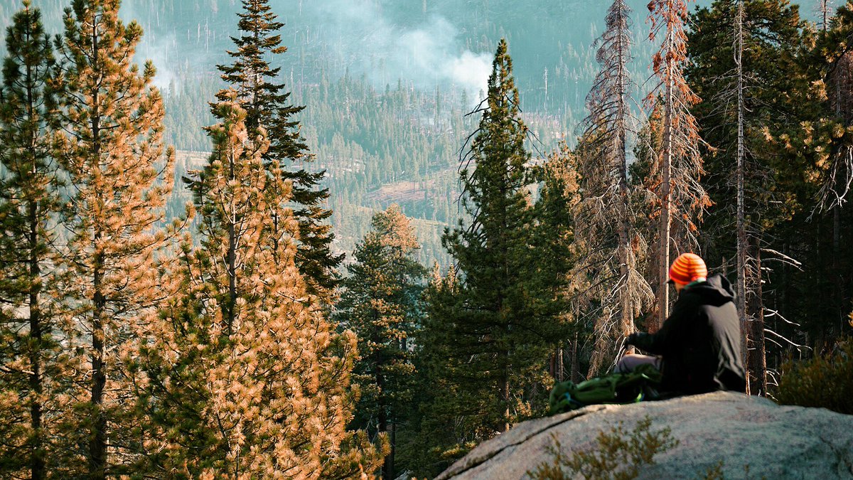 The humble man 🌲
#yosemitenationalpark #yosemite #california #nationalpark #medow #mountains #mountain #rock #tree #beautifuldestinations #beautiful #awesome #awesomedreamplaces #vacation #photography #landscapephotography #landscape #sonya6000 #sony #a6000