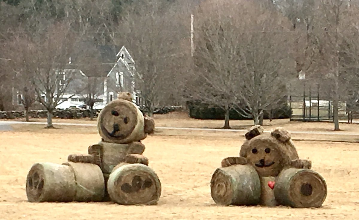 shinecpr's tweet image. Teaching a CPR class in Hudson,MA and came across this little treasure! #CPRsaveslives #HayBears #HappyAccident