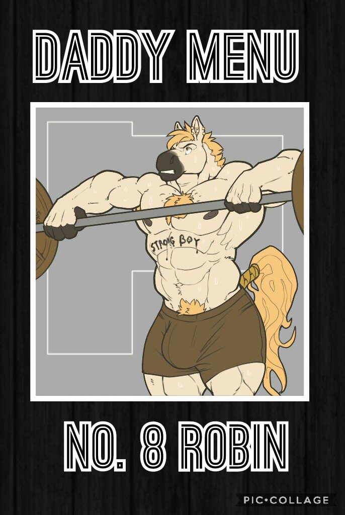 ☆ Daddy Menu. No. 8 Robin. ☆