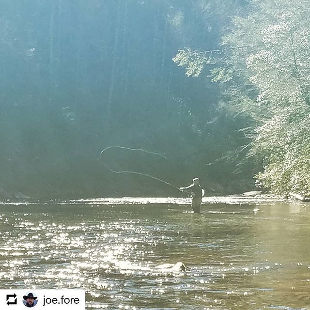 TrentMWeather's tweet photo. This weather makes me suuuuper ready to get back on the water!!! @joe.fore
• • •
I can not wait to get back on the water. Friends, memories and great times.
#FlyFishTennessee #flyfisher #browntroutfishing #woolybugger #flytyer https://t.co/W9XHlEDpRf