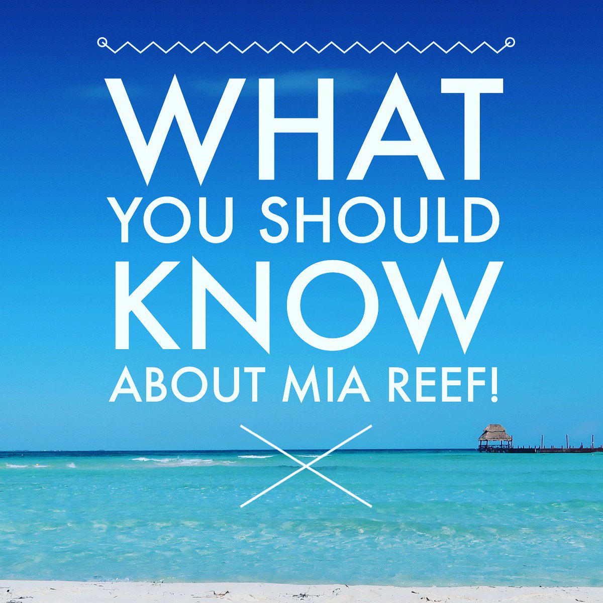 TravNeighbor's tweet image. Looking for a great all inclusive resort for your Mexico trip? Check out the amazing and affordable @MiaReefIsla !

#miareef #islamujeres #allinclusivemexico #allinclusive #mexico
travelingneighbor.com/2017/12/31/kno…