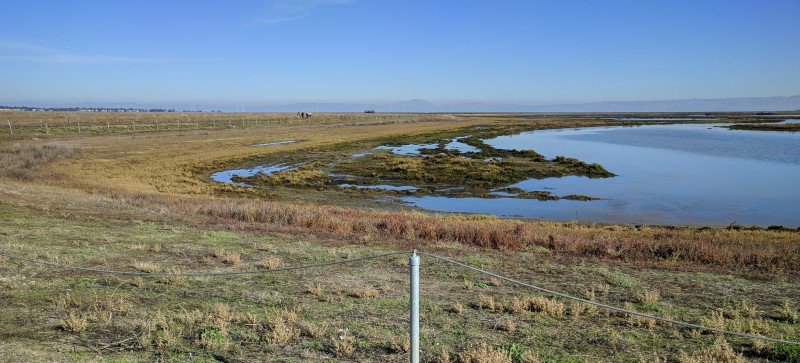BluHarborMKT's tweet image. Looking for walking and running trails in the Peninsula?  Check out Blu Harbor.  located off of Whipple and Bair Island Road just a few short minutes from Downtown Redwood City.  #bluharborapartments #bayareatrails #walkingtrails #runningtrails #waterviews #redwoodcity